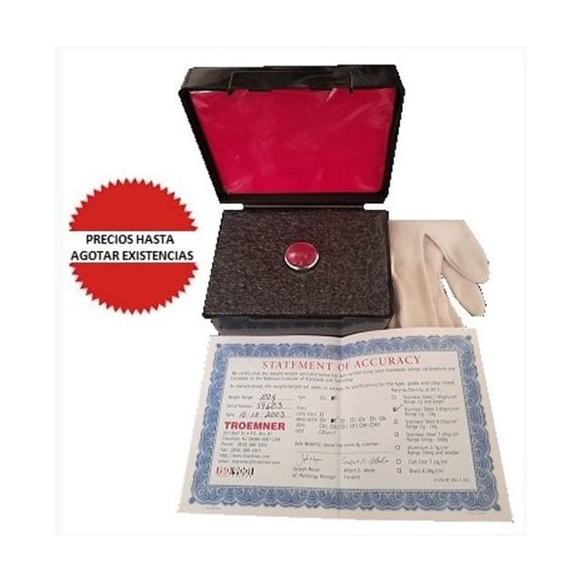 Pesa SS para calibracion 100g