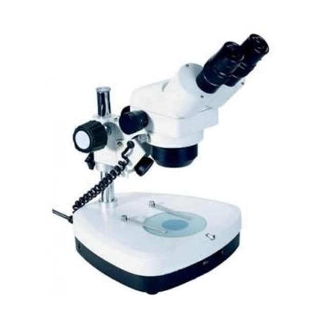 Microscopio estereoscopico binocular