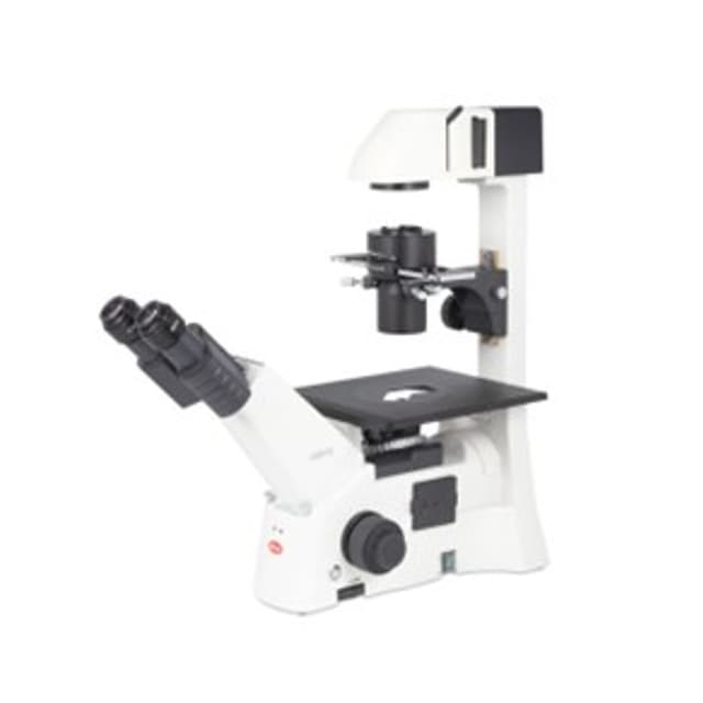 Microscopio invertido triocular