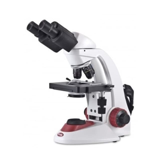 Microscopio compuesto binocular