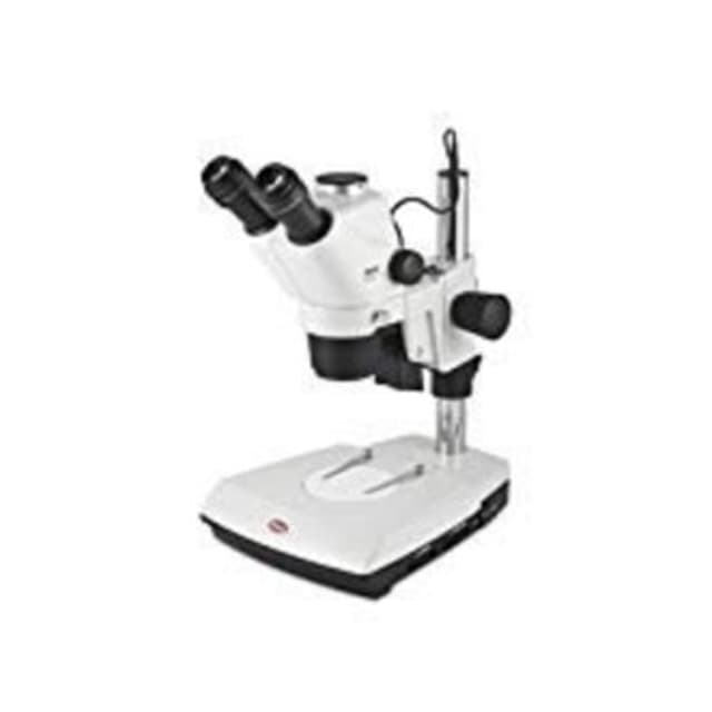 Microscopio estereoscopico triocular LED
