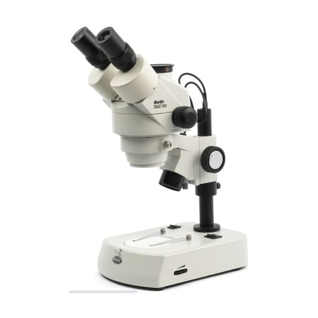 Microscopio estereoscopico triocular led