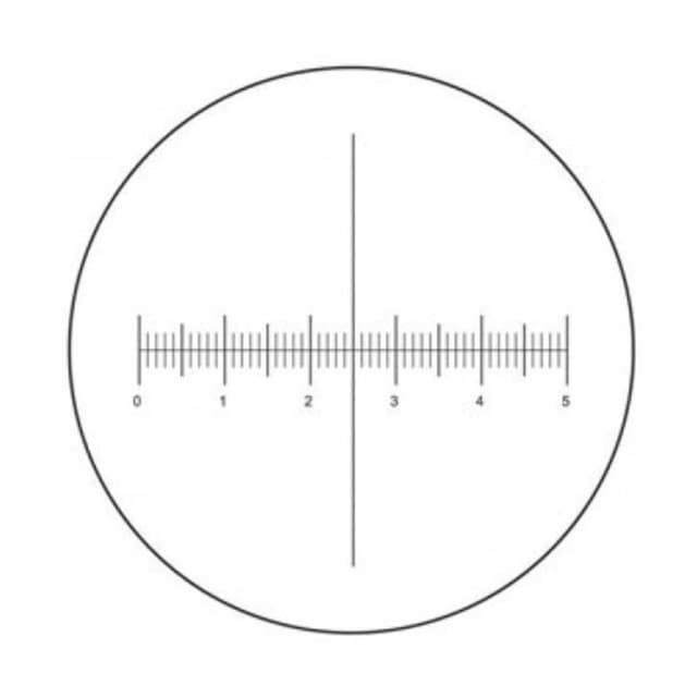Reticula con micrometro