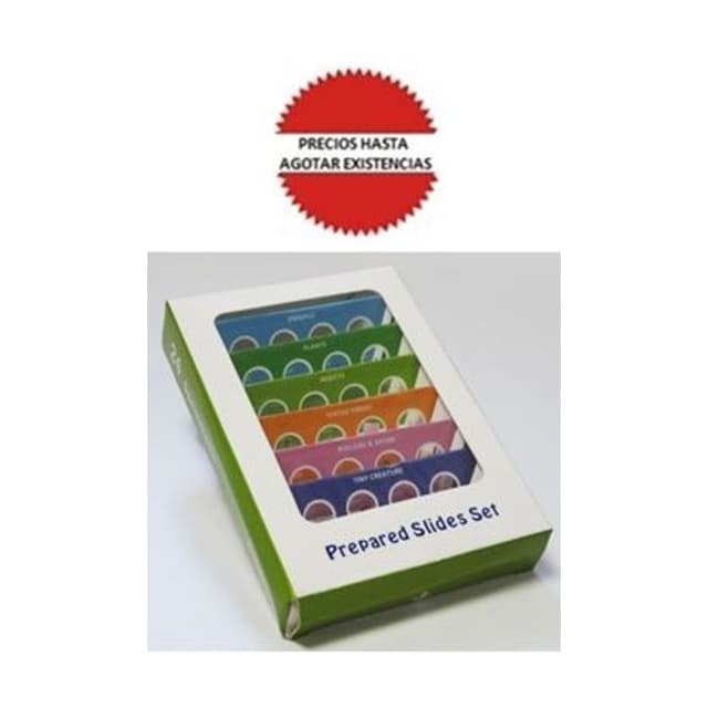 PORTAOBJETOS CON ESPECIMENES SET 6