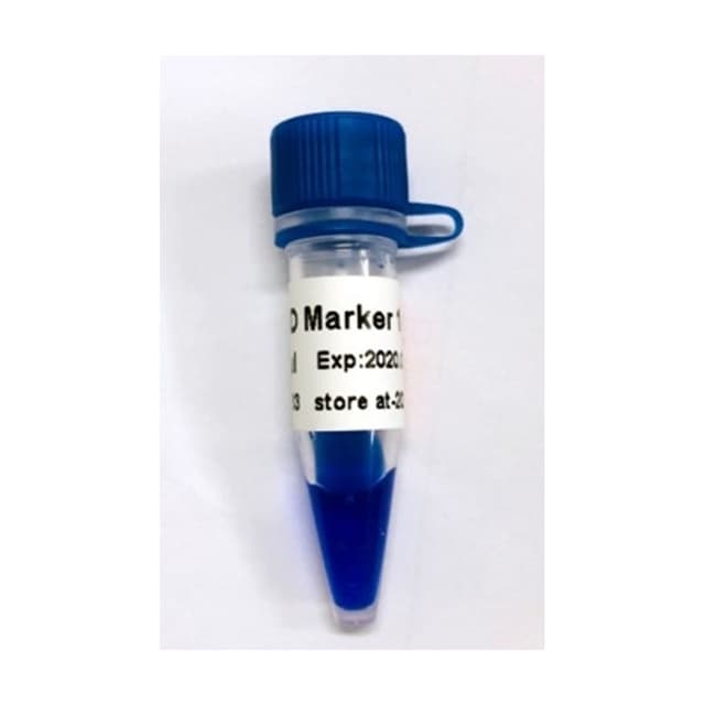 Marcador DNA 100 - 600 BP, 50ug