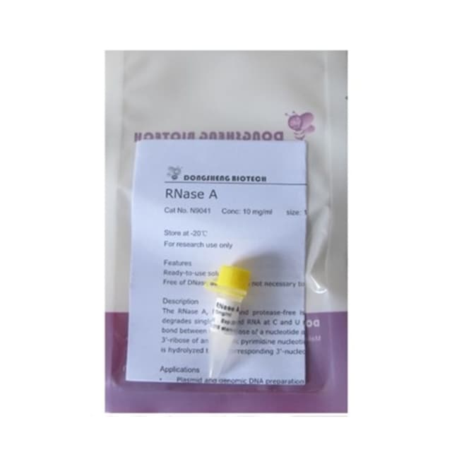 Ribonucleasa  (RNASE A) 1ml