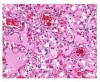 Parafina para histologia 2.5kg en pastillas  MERCK