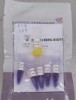 PCR  2X MIX KIT  DONGSHENG