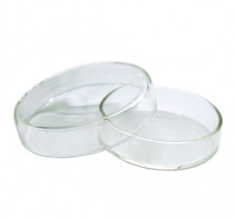 Caja petri de vidrio neutro 65*15mm Luzeren