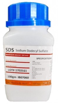 SDS : dodecil sulfato de sodio 100g IBI Scientific