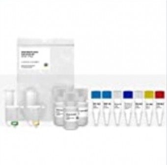 Kit para extraccion de DNA en suelo IBI Scientific