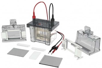 Camara de electroforesis vertical doble placa Dlab